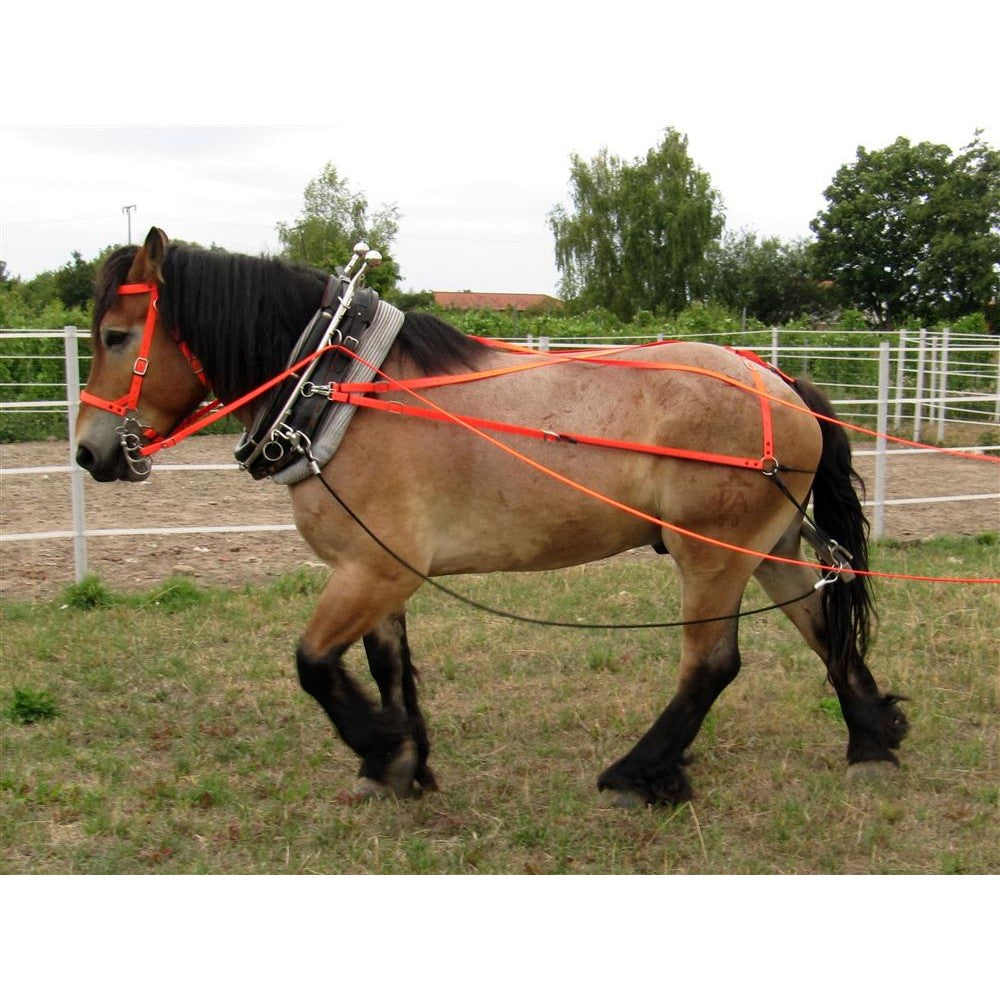 Schwebeortscheit-Set Heavy-Horse-Edition