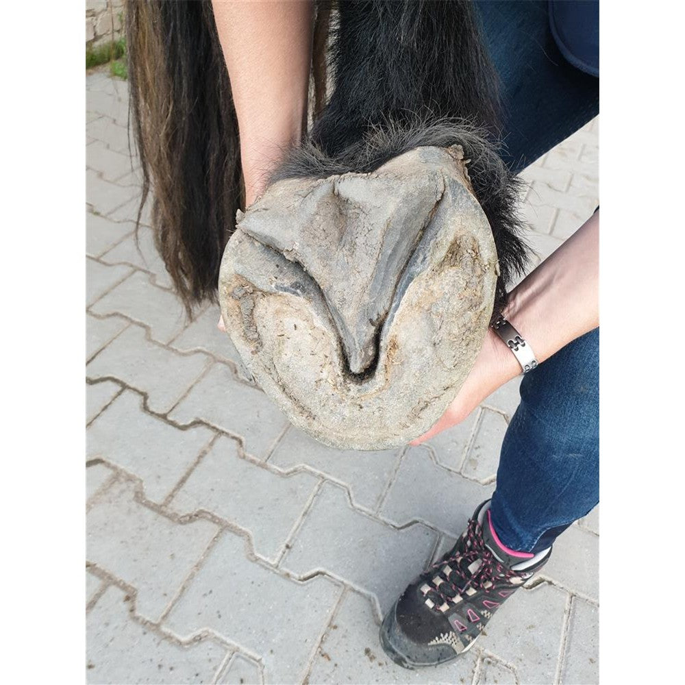 Kupfer-Hufwachs LIQUIDE mit Eukalyptus