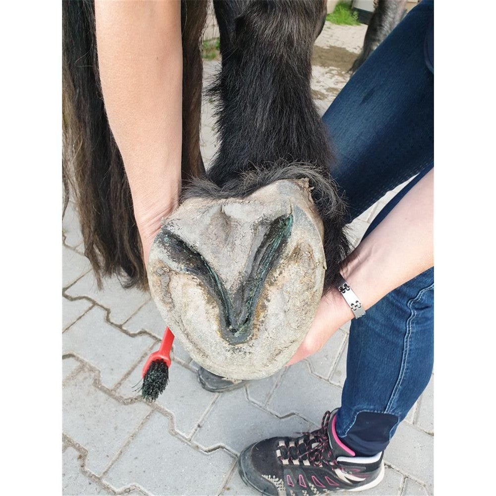 Kupfer-Hufwachs LIQUIDE mit Eukalyptus