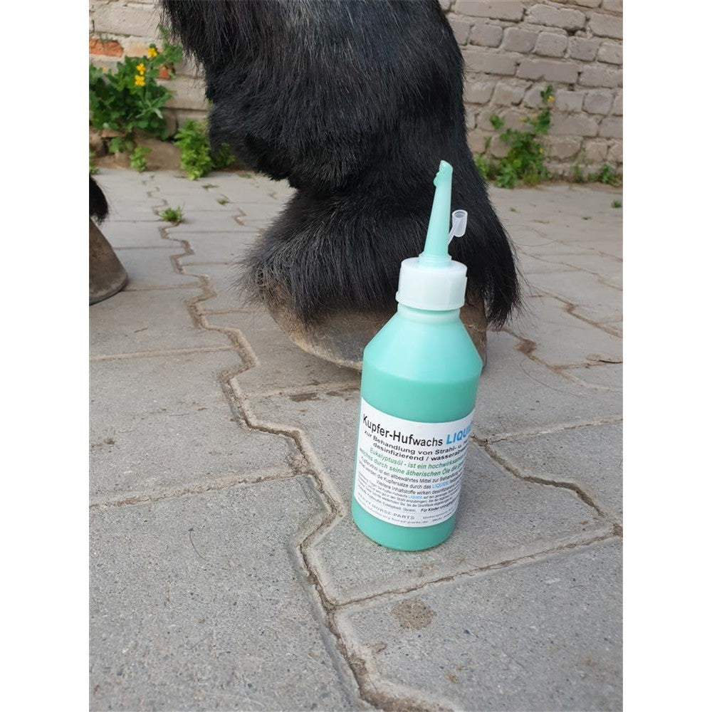 Kupfer-Hufwachs LIQUIDE mit Eukalyptus