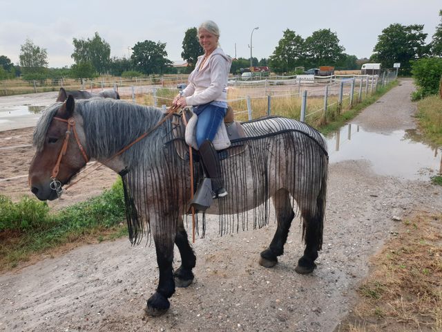 Fliegennetz Brustlatz für Arbeits-, Fahr- und Reitbetrieb