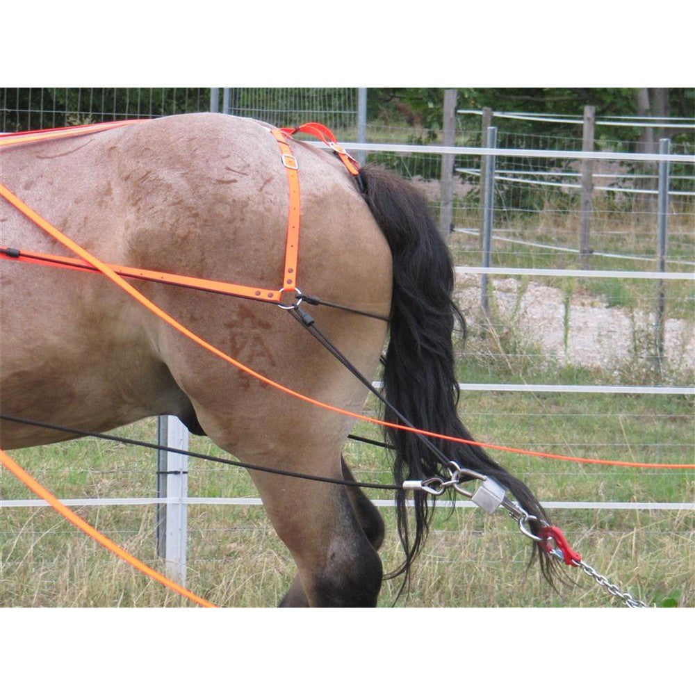 Schwebeortscheit-Set Heavy-Horse-Edition