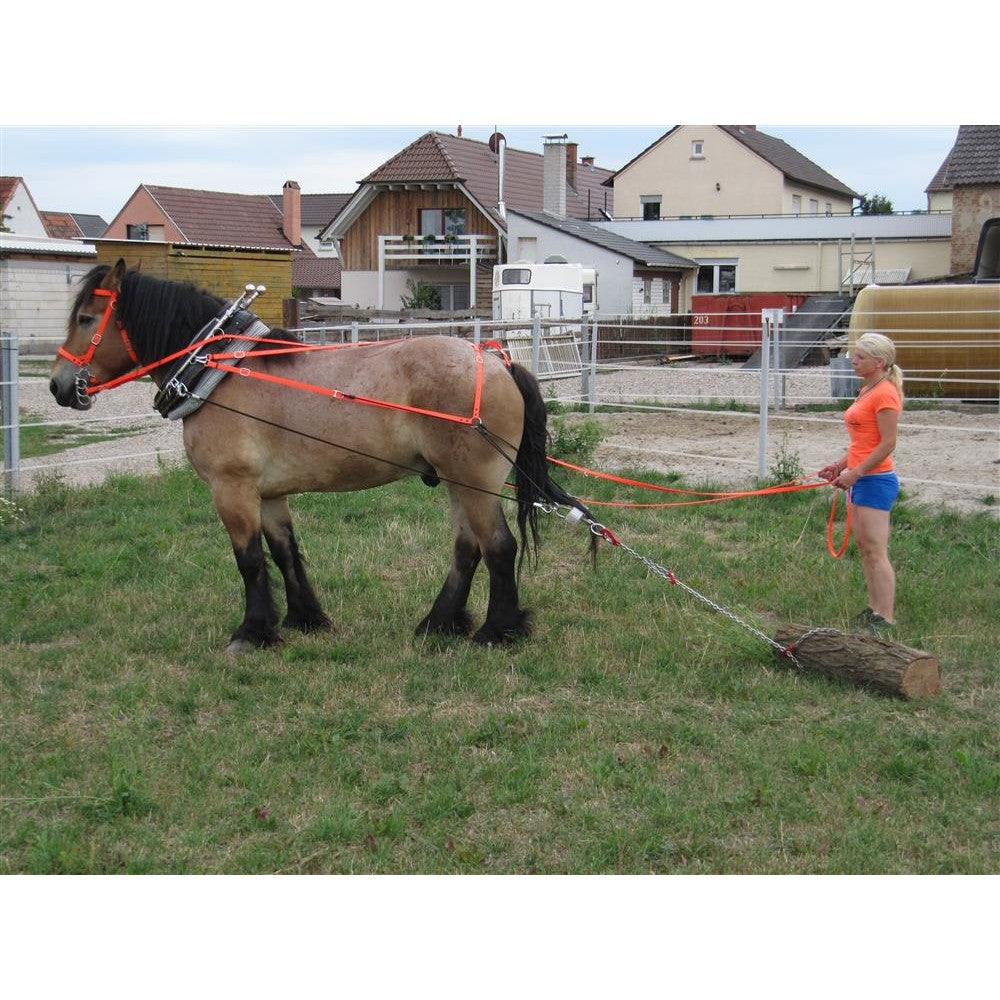 Schwebeortscheit-Set Heavy-Horse-Edition