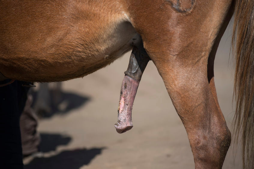 Lodexcare Wund- und Heilsalbe