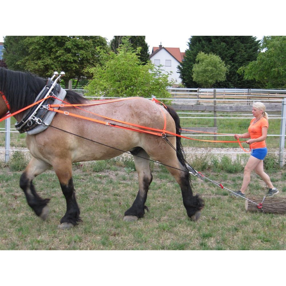 Schwebeortscheit-Set Heavy-Horse-Edition