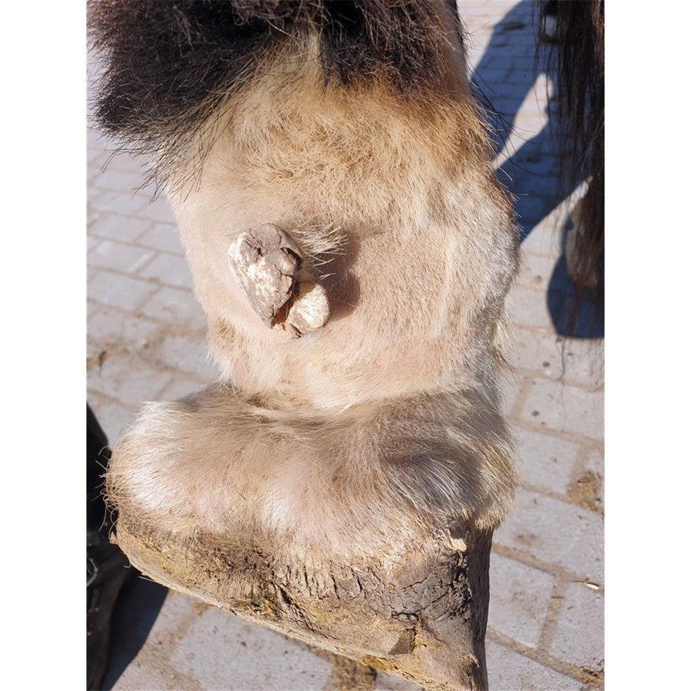 Sulfurcare Schwefelsalbe