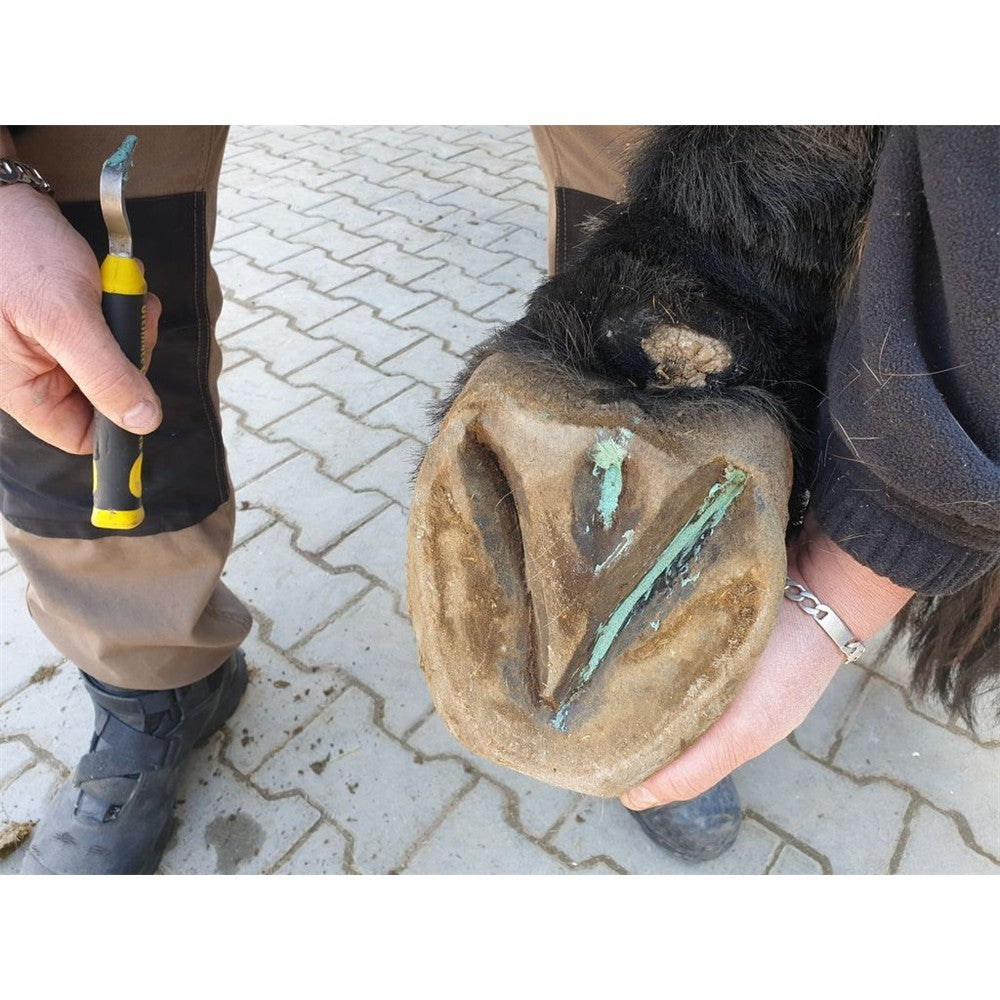 Profi Huf Trio Kupfer-Hufwachs mit Eukalyptus, LIQUIDE & SPRAY  Sie sparen 10,- gegenüber Einzelkauf