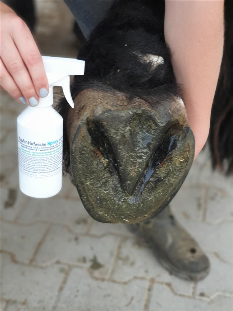 Profi Huf Trio Kupfer-Hufwachs mit Eukalyptus, LIQUIDE & SPRAY  Sie sparen 10,- gegenüber Einzelkauf