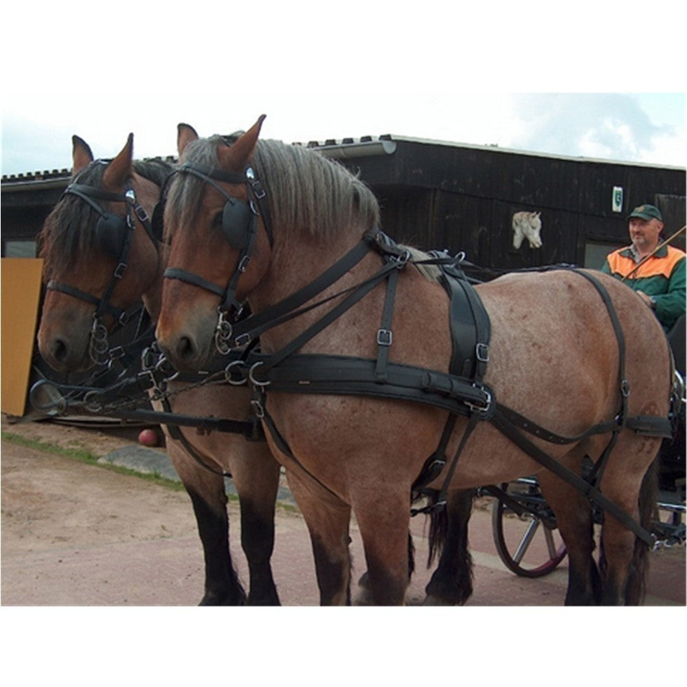 Biothane Brustblattgeschirr  extra starker