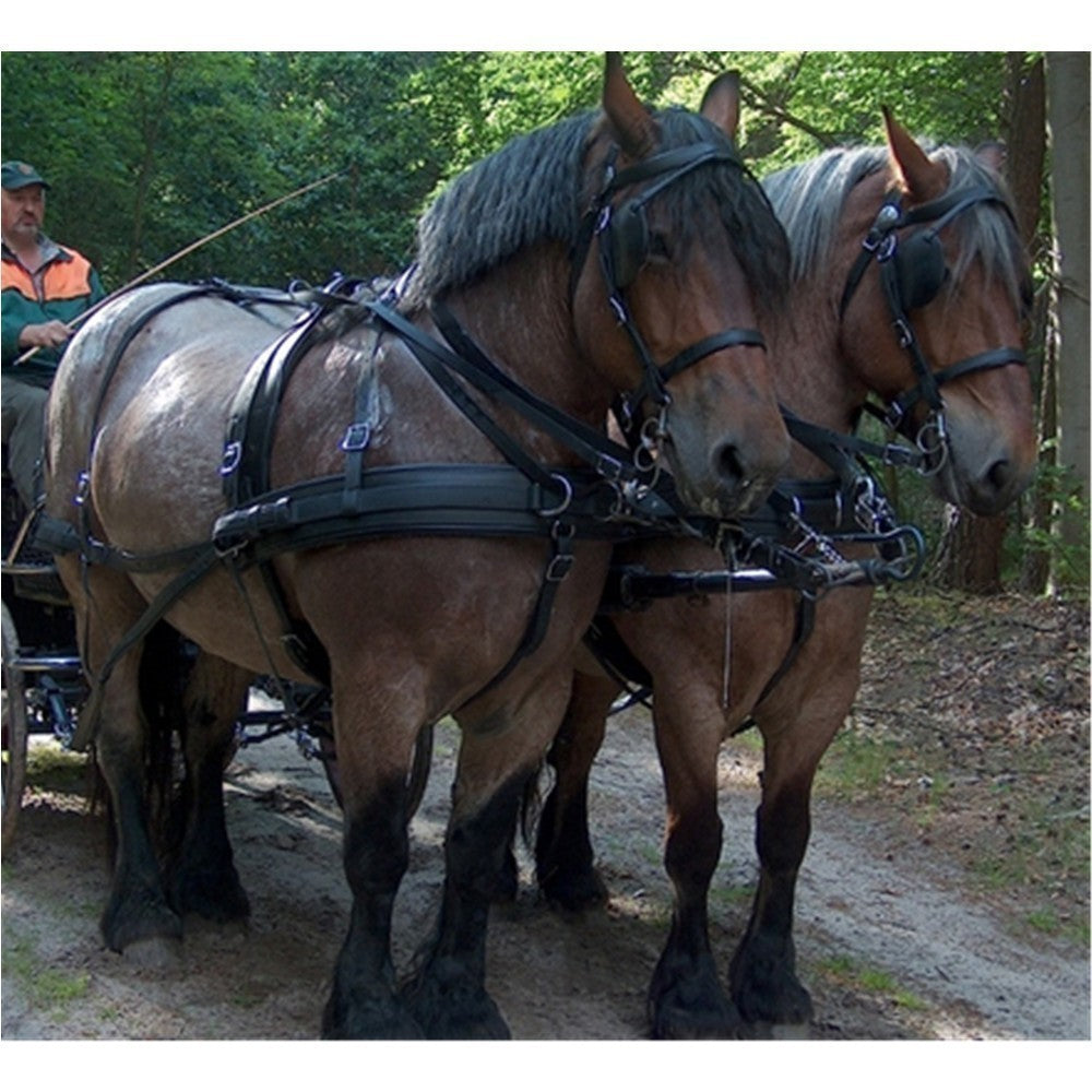 Biothane Brustblattgeschirr  extra starker