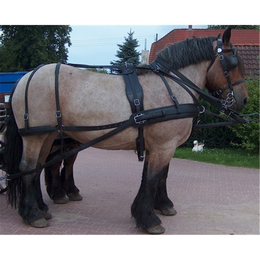 Biothane Brustblattgeschirr  extra starker