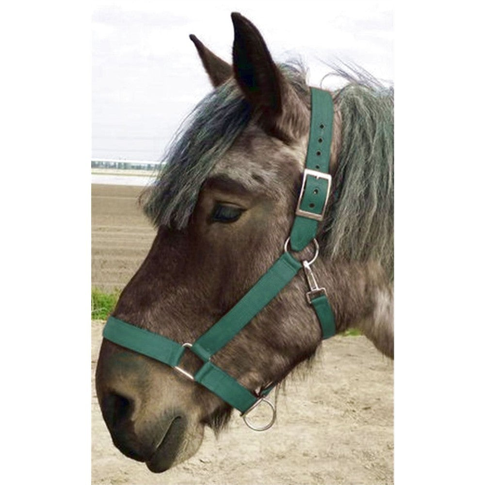 Nylon-Halfter Heavy-Horse-Edition Strong 2 fach