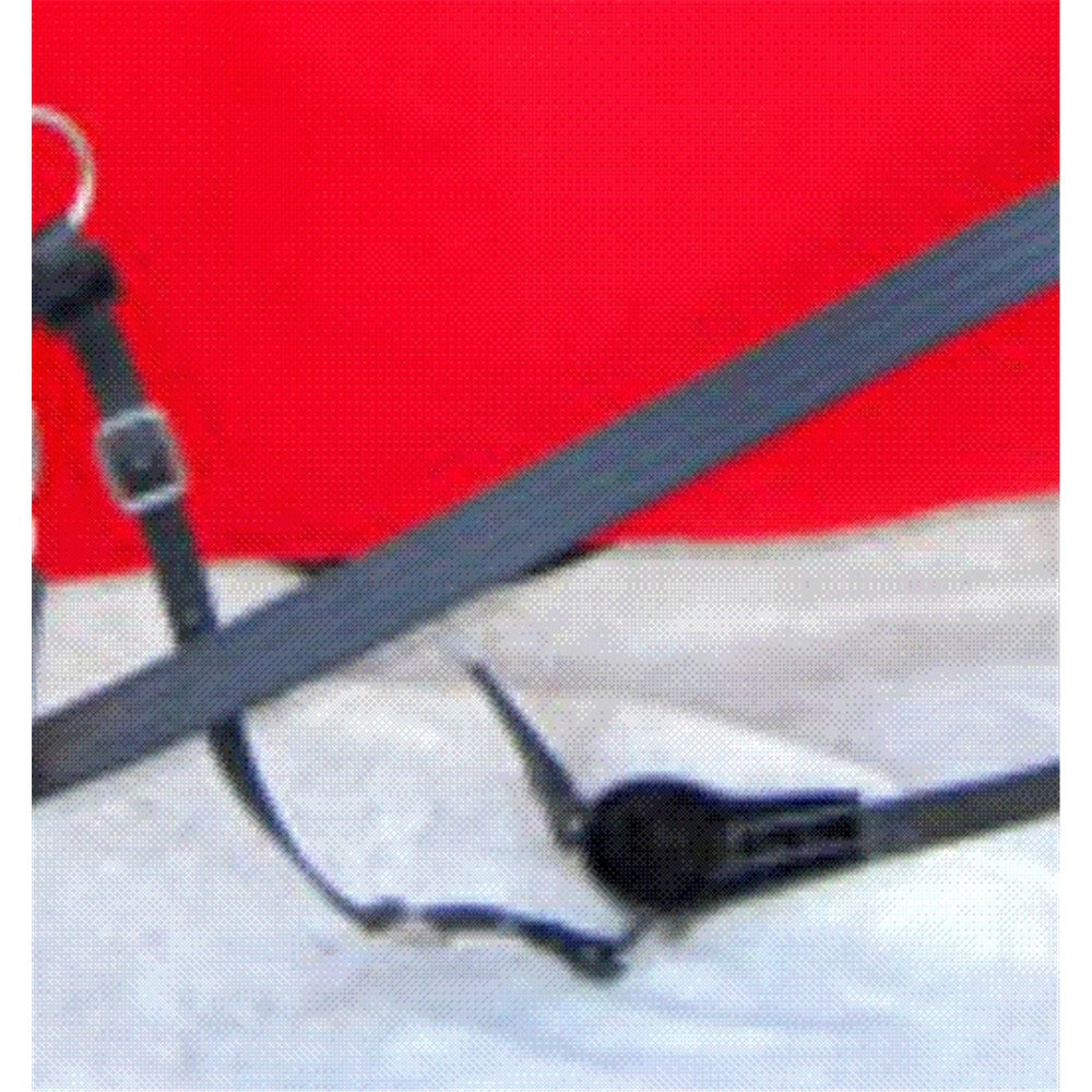 Amerikanisches Rückhalteriemen zu Martingal paar