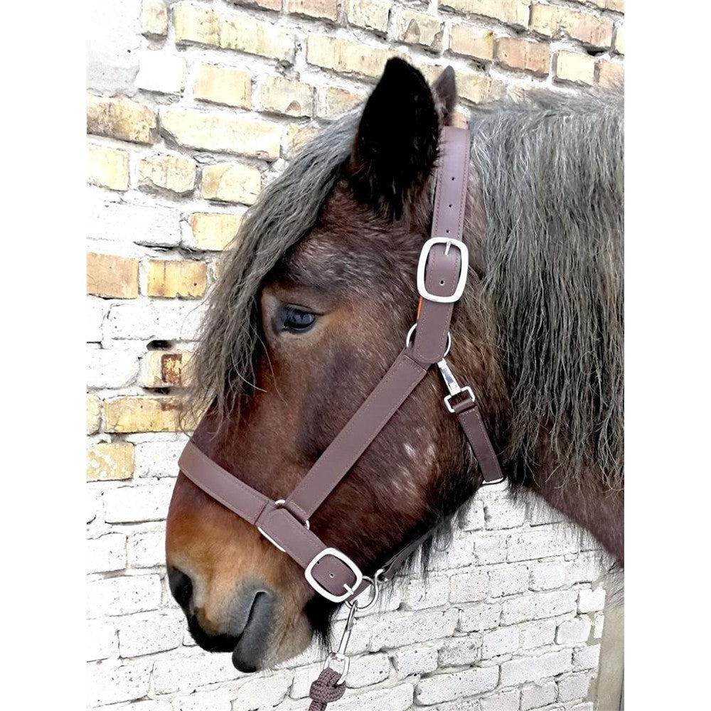 Kaltbluthalfter "Secure Control"