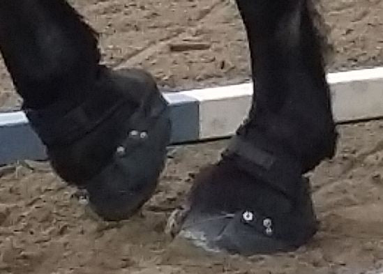 Kaltblut Hufschuh Easyboot Epic Heavy-Horse-Parts Edition