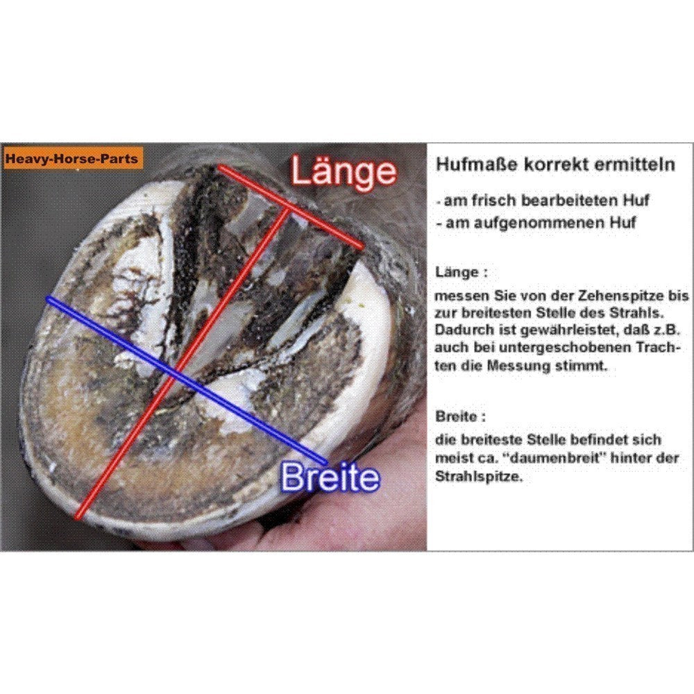 Kaltblut Hufschuh Easyboot Epic Heavy-Horse-Parts Edition