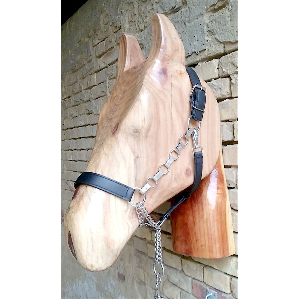 Kaltbluthalfter "Control"