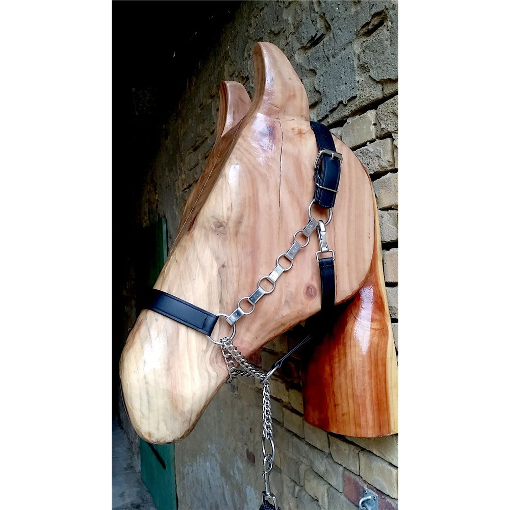 Kaltbluthalfter "Control"