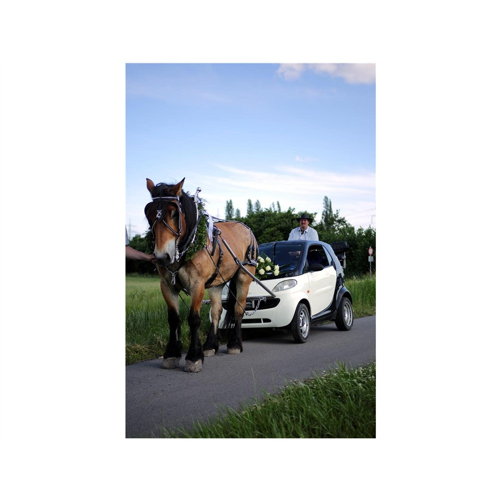 Amerikanisches Kopfstück Show