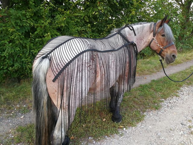 Fliegennetz für  Arbeits-, Fahr- und Reitbetrieb