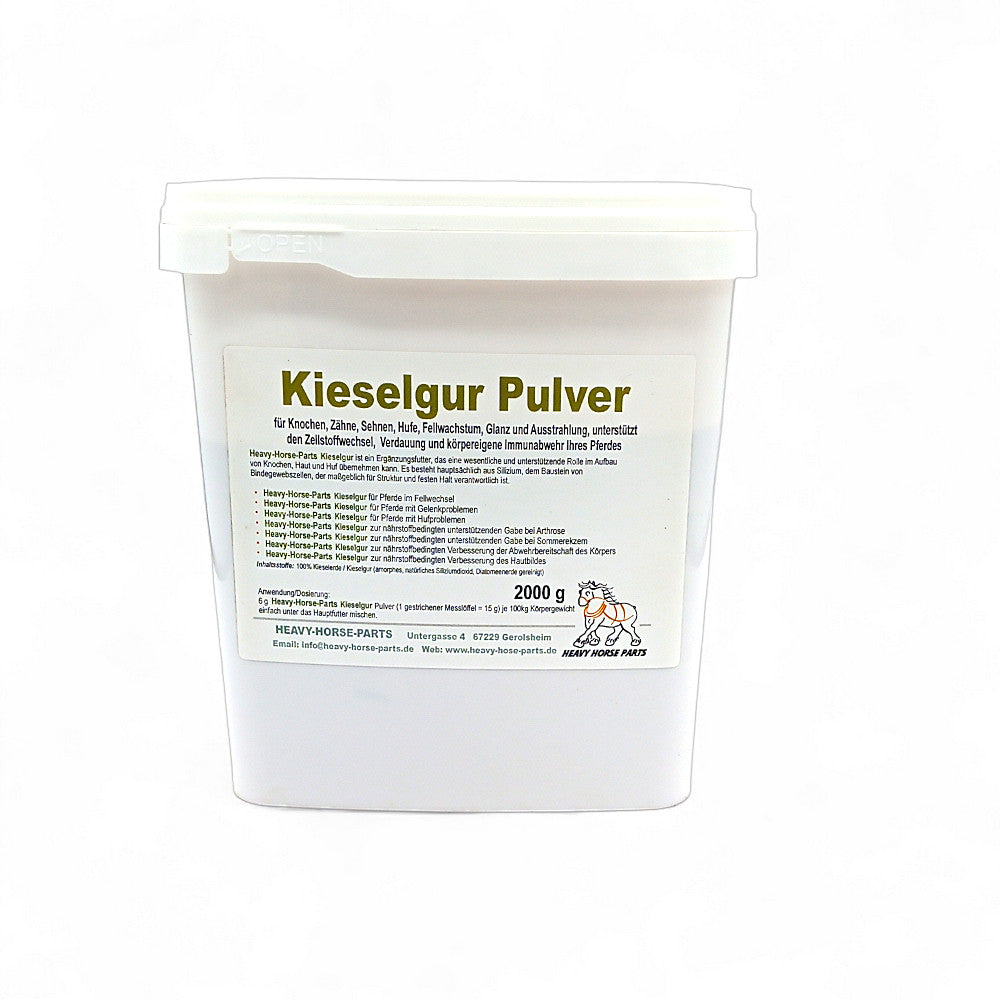 Kieselgur Pulver