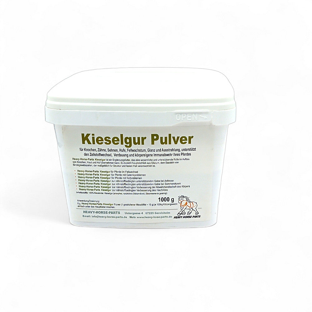 Kieselgur Pulver