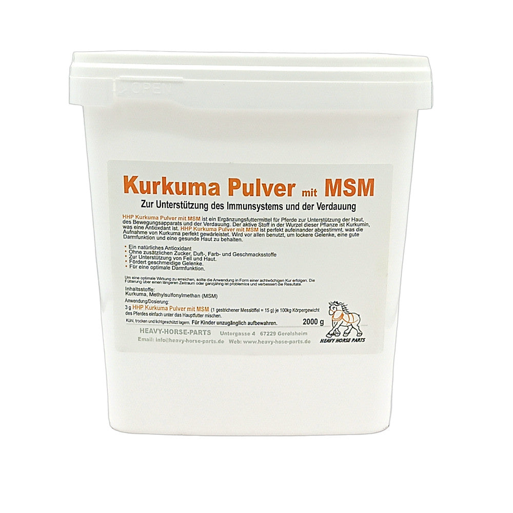 Kurkuma Pulver mit MSM