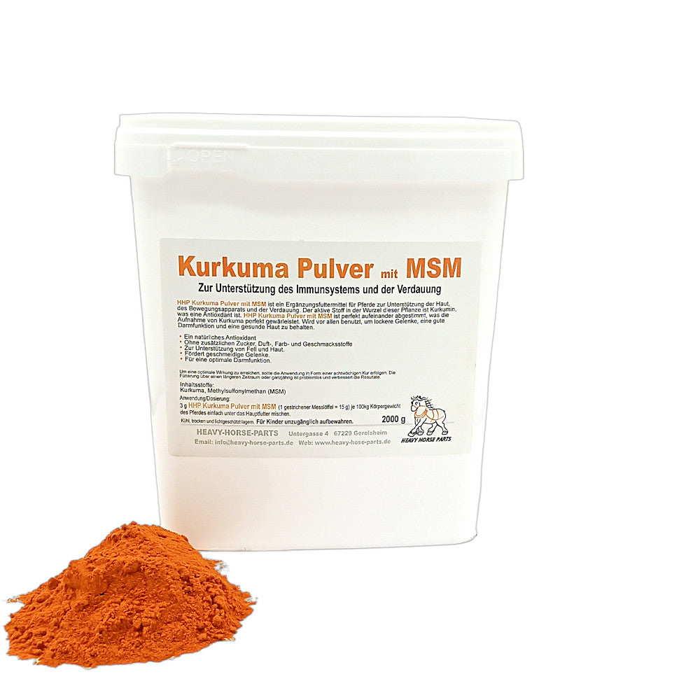 Kurkuma Pulver mit MSM