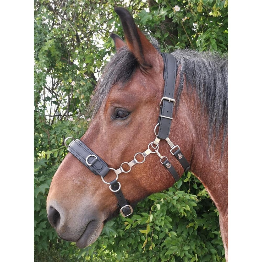 Kappzaum Kapp-Control