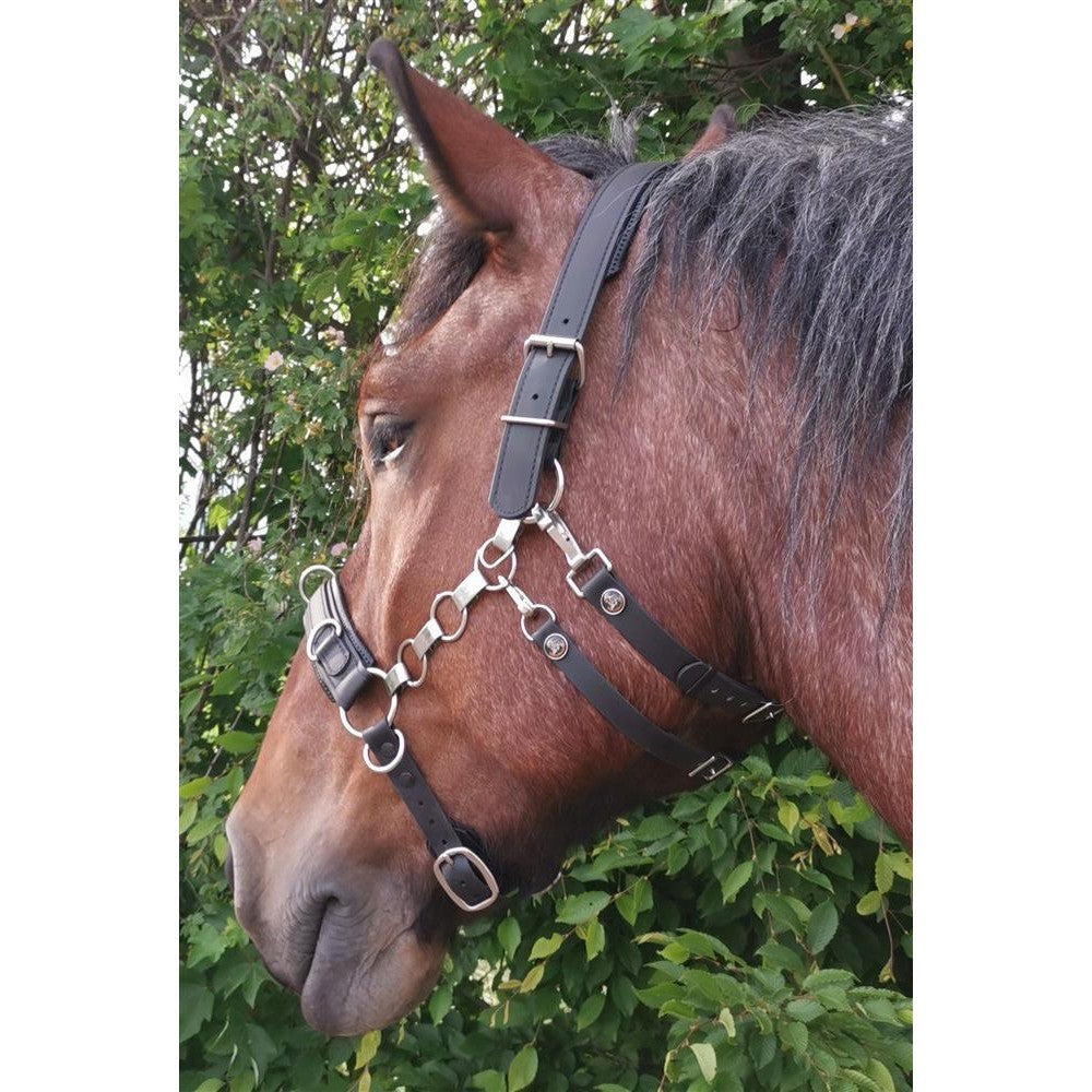 Kappzaum Kapp-Control