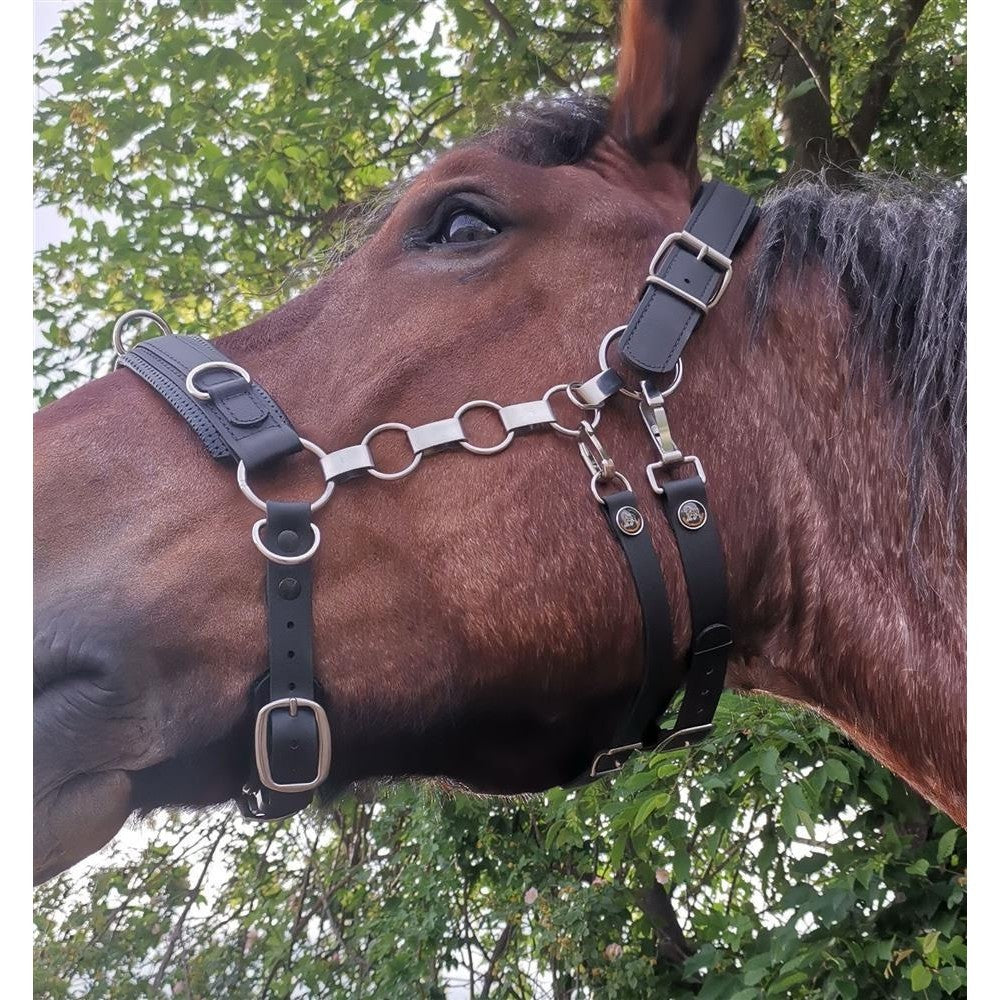 Kappzaum Kapp-Control