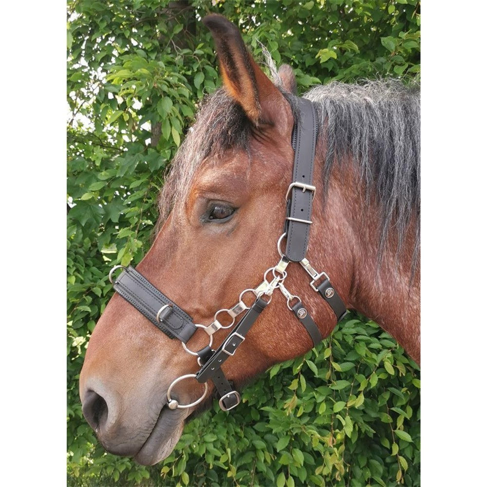 Kappzaum Kapp-Control