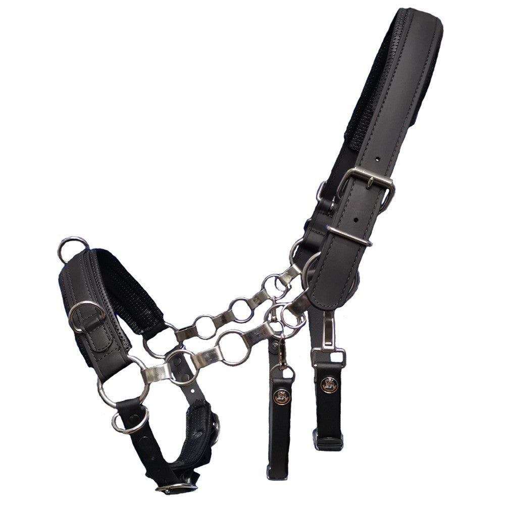 Kappzaum Kapp-Control