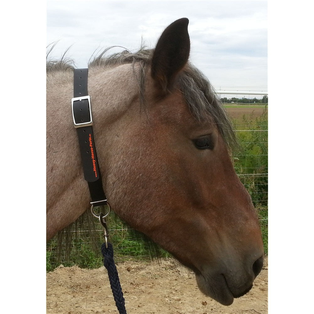 Bio Halsriemen Heavy-Horse-Edition