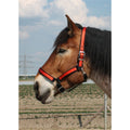 Nylon-Halfter Heavy-Horse-Edition Strong color