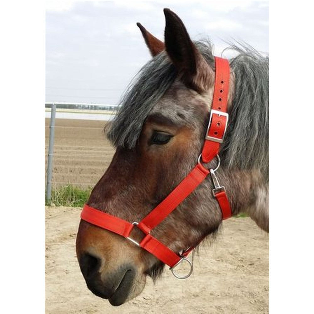 Nylon-Halfter Heavy-Horse-Edition Strong 2 fach