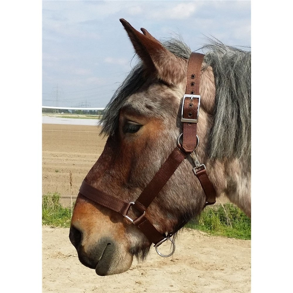 Nylon-Halfter Heavy-Horse-Edition Strong 2 fach