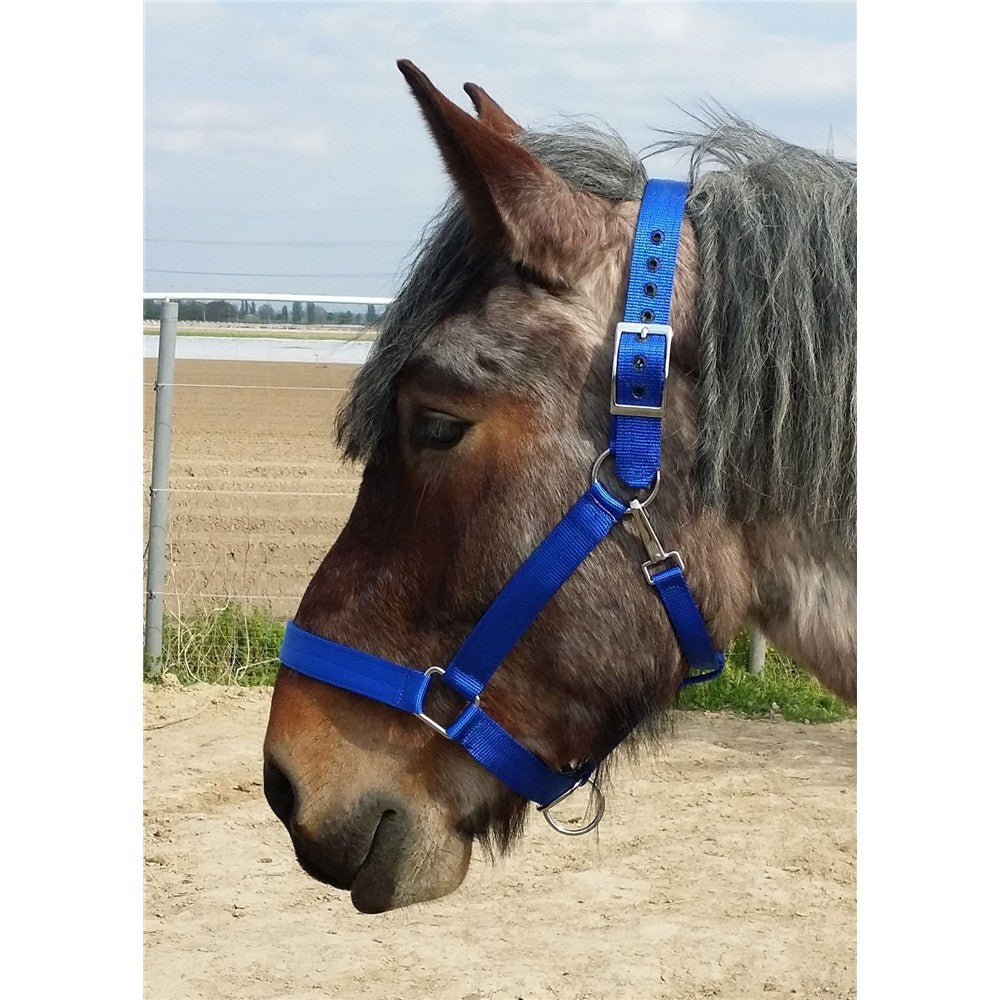 Nylon-Halfter Heavy-Horse-Edition Strong 2 fach