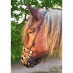 H-HEAVY-HORSE-PARTS-Katalog-Katalogbilder-mit-Artikelnummer-Fressbremse-IMG_20180427_204204-jpg-16
